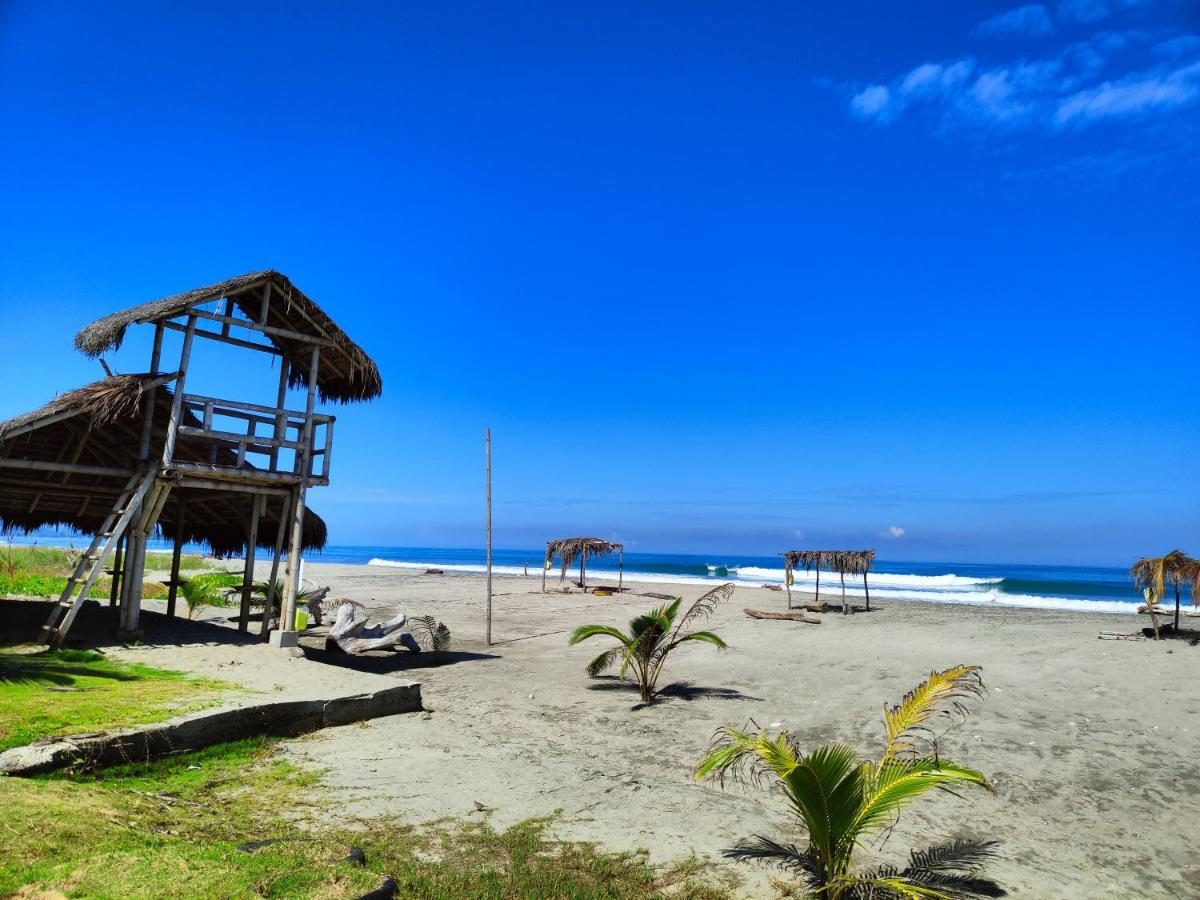 Hotel Punta Azul بيدرنيلز المظهر الخارجي الصورة